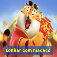 sonhar com macaco